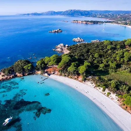 Penthouse Les Oliviers Porto-Vecchio (Corsica)